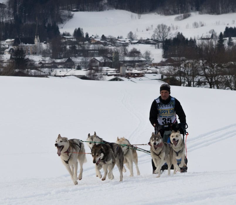 Inzell 2017-20