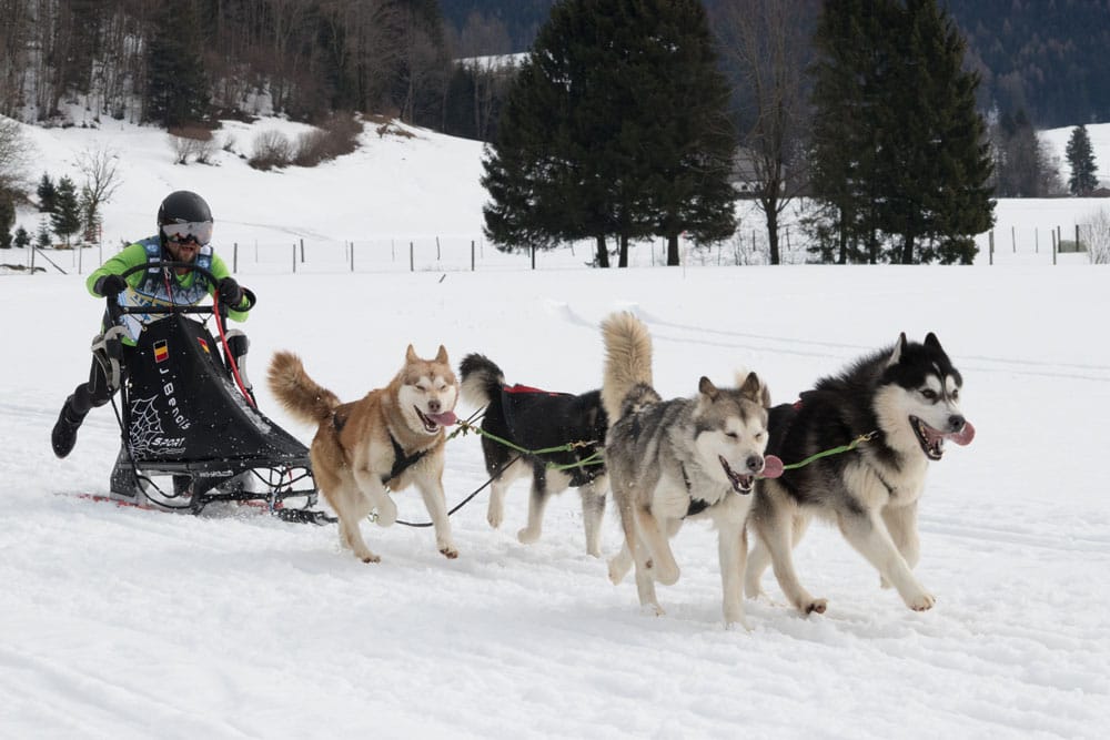 Inzell 2017-50