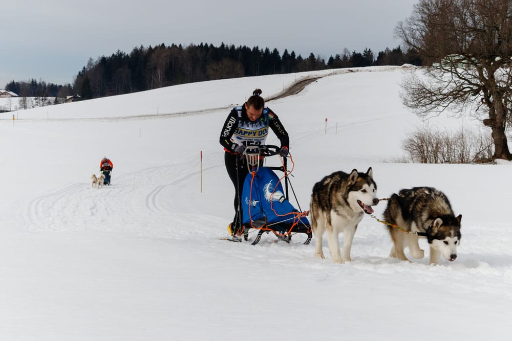 Inzell 2017-59