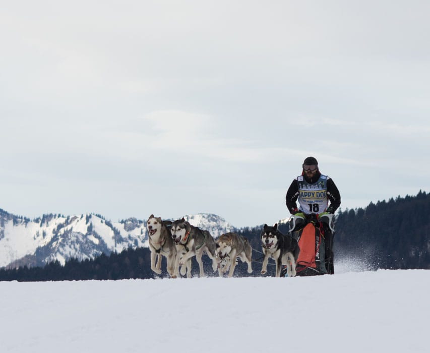 Inzell 2017-8