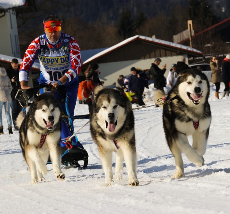 WSA Snow 2017 Inzell Samstag 2 103