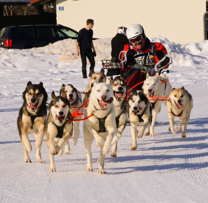 WSA Snow 2017 Inzell Samstag 2 12