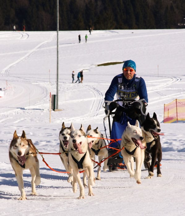 WSA Snow 2017 Inzell Samstag 2 14