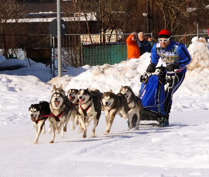 WSA Snow 2017 Inzell Samstag 2 15