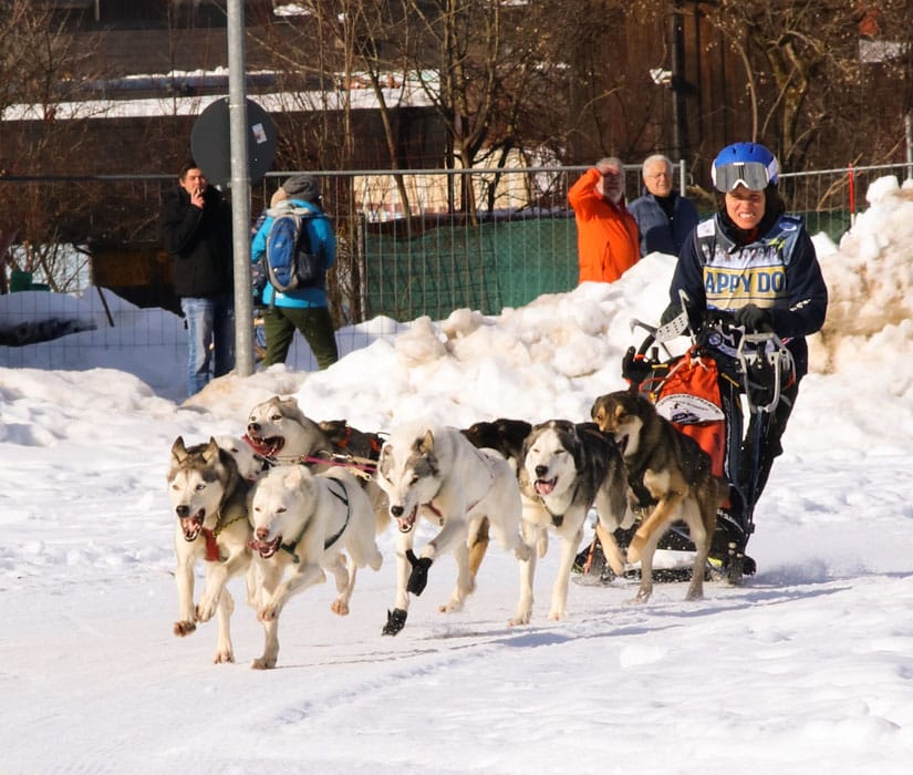 WSA Snow 2017 Inzell Samstag 2 16