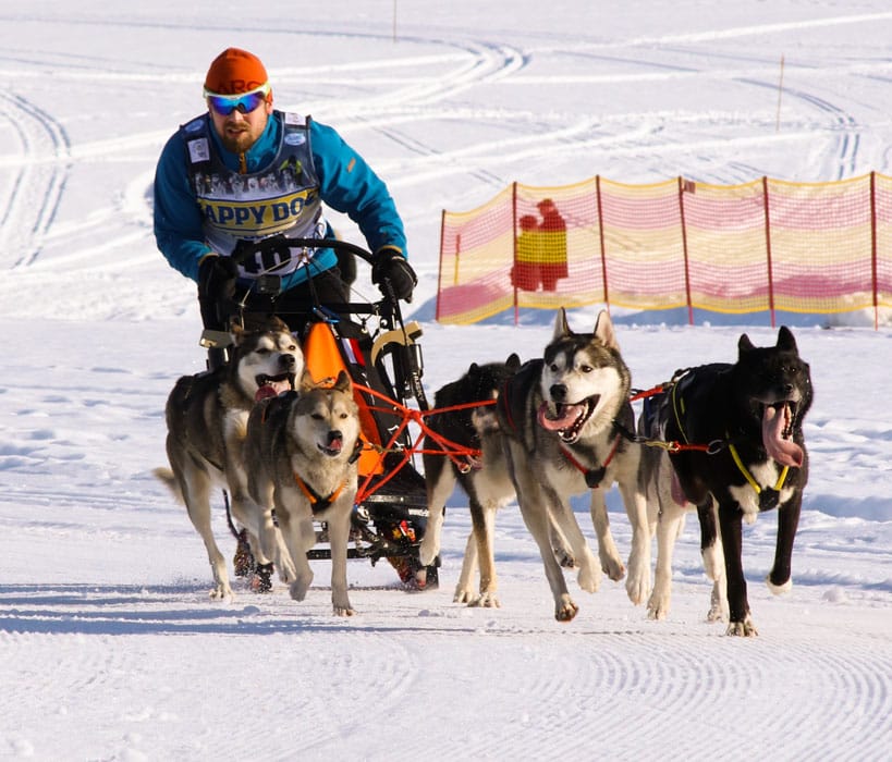 WSA Snow 2017 Inzell Samstag 2 2