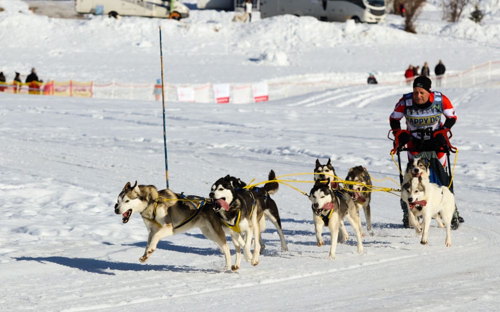 WSA Snow 2017 Inzell Samstag 2 35