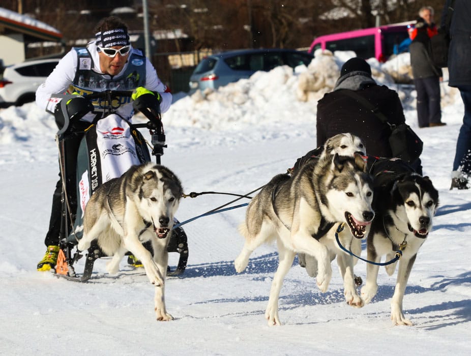 WSA Snow 2017 Inzell Samstag 2 37