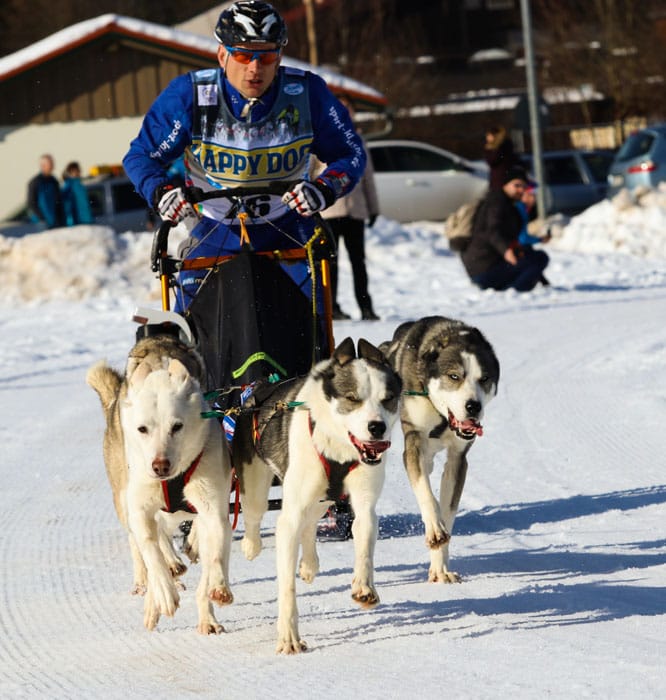 WSA Snow 2017 Inzell Samstag 2 38