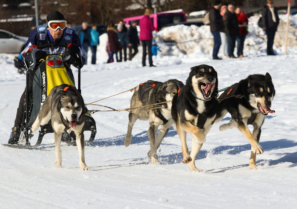 WSA Snow 2017 Inzell Samstag 2 39