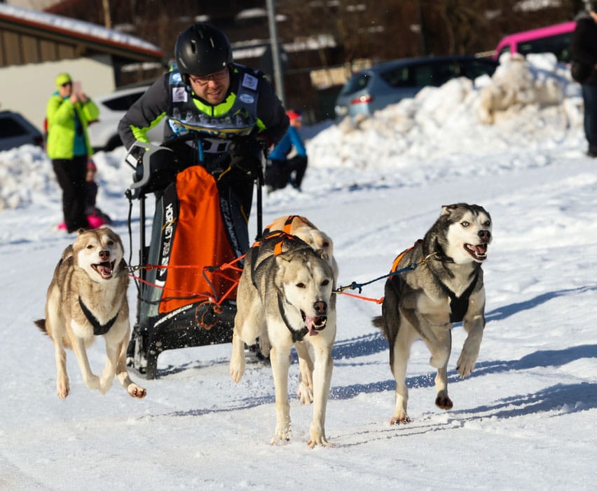 WSA Snow 2017 Inzell Samstag 2 41