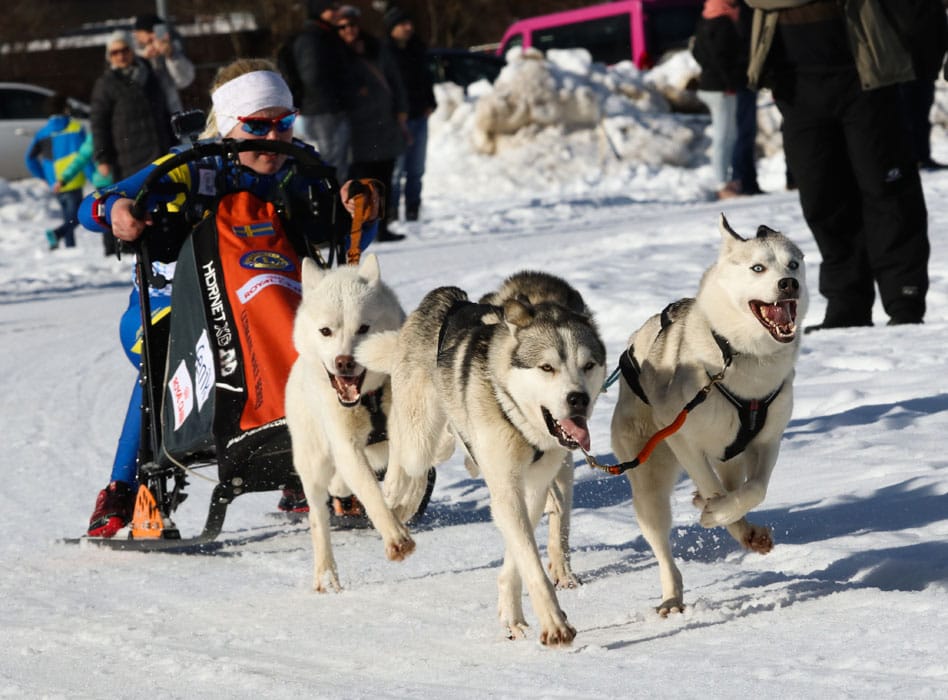 WSA Snow 2017 Inzell Samstag 2 45