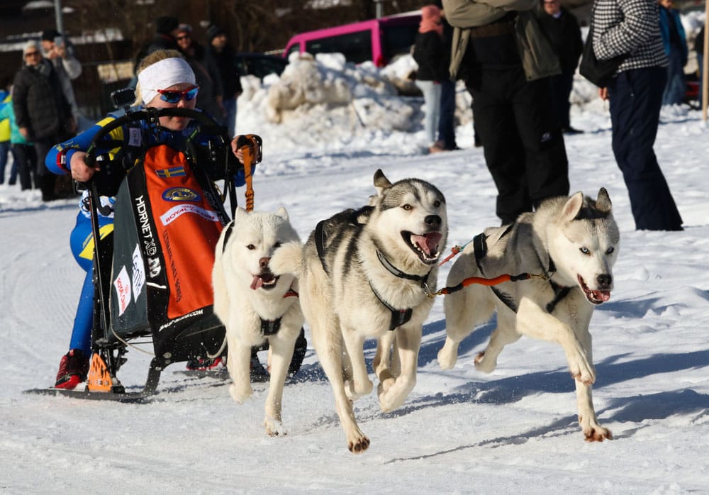 WSA Snow 2017 Inzell Samstag 2 46