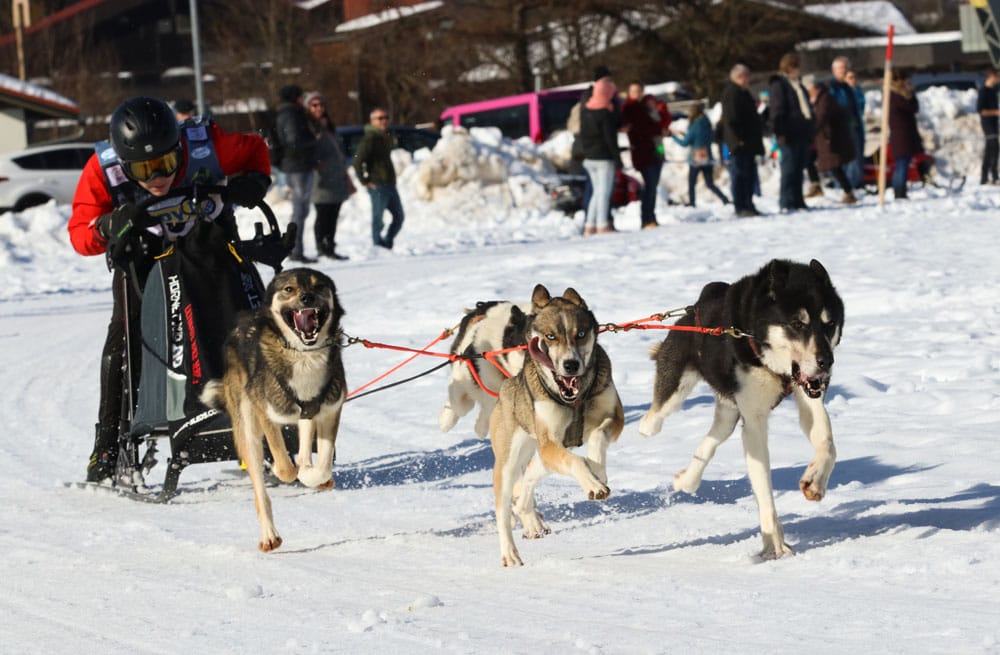 WSA Snow 2017 Inzell Samstag 2 49