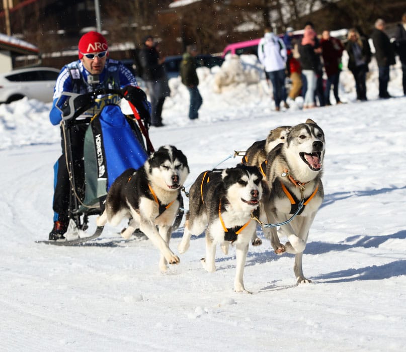 WSA Snow 2017 Inzell Samstag 2 50