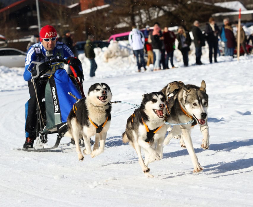 WSA Snow 2017 Inzell Samstag 2 51