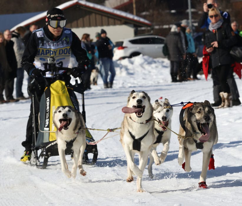 WSA Snow 2017 Inzell Samstag 2 57