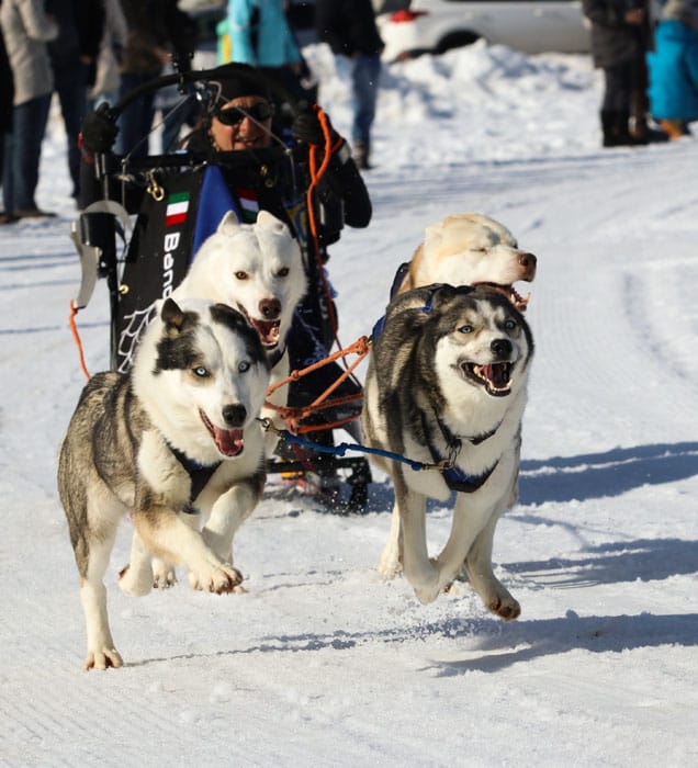 WSA Snow 2017 Inzell Samstag 2 59