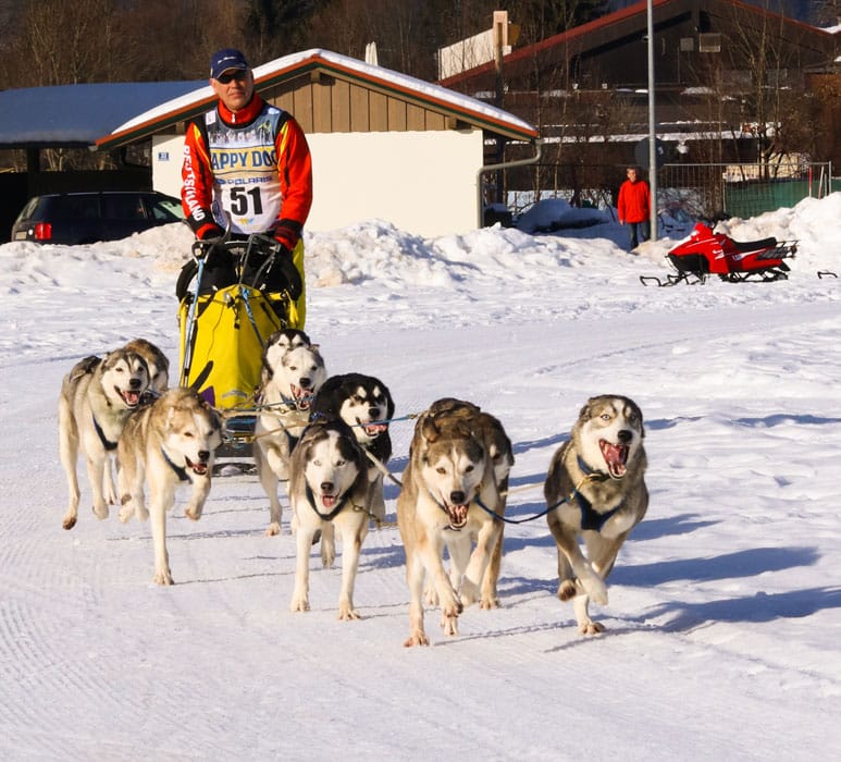 WSA Snow 2017 Inzell Samstag 2 6