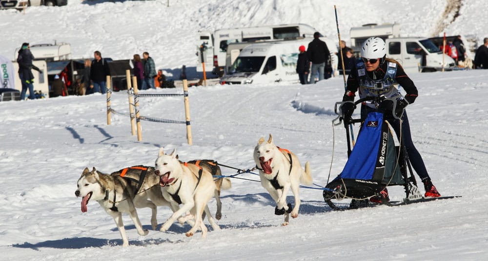 WSA Snow 2017 Inzell Samstag 2 61