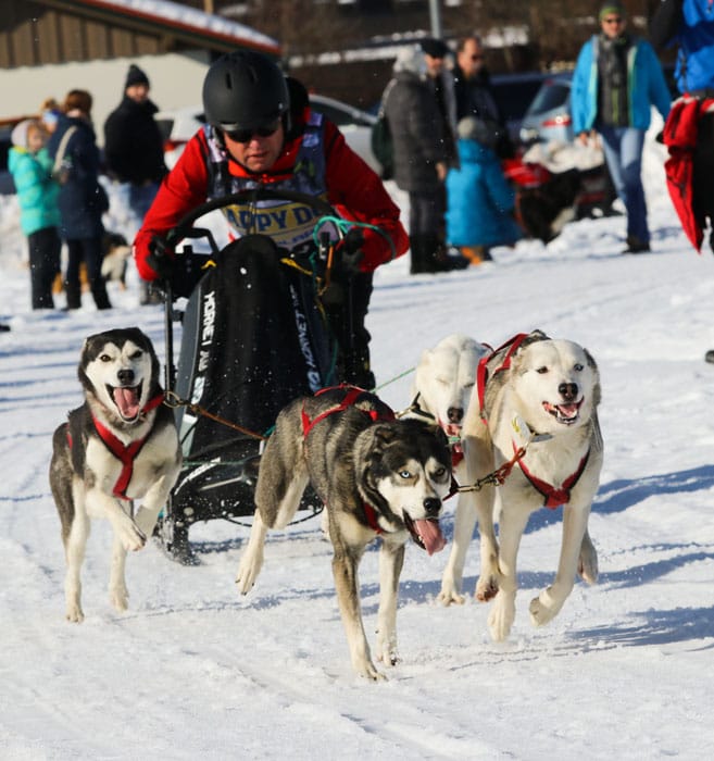 WSA Snow 2017 Inzell Samstag 2 62