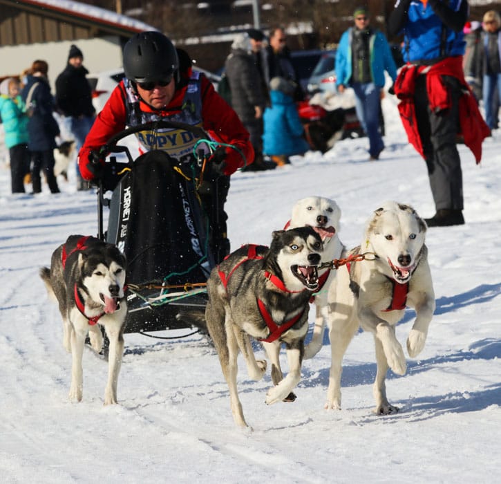 WSA Snow 2017 Inzell Samstag 2 63