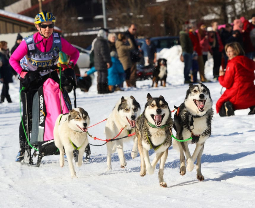 WSA Snow 2017 Inzell Samstag 2 64