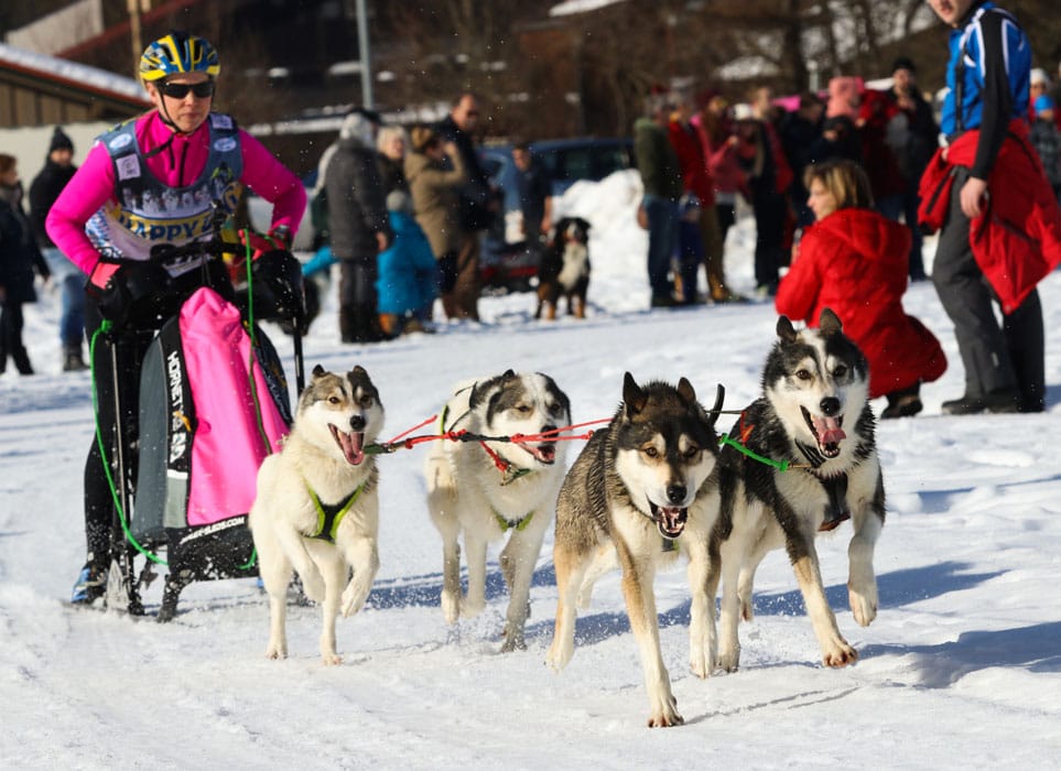 WSA Snow 2017 Inzell Samstag 2 65