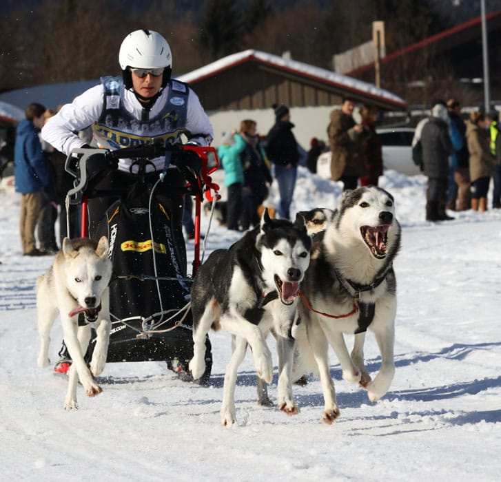 WSA Snow 2017 Inzell Samstag 2 67