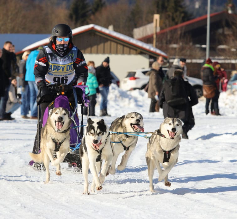 WSA Snow 2017 Inzell Samstag 2 69