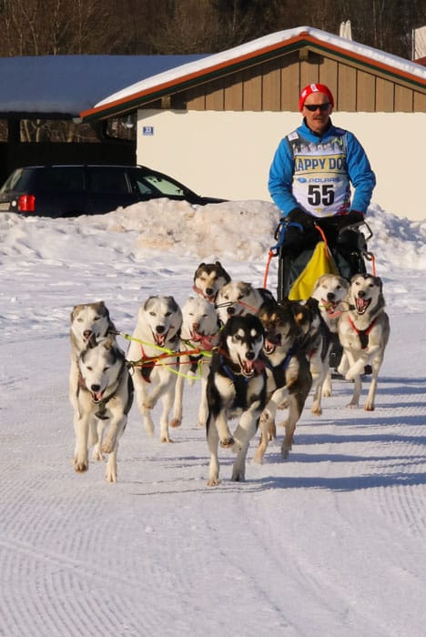 WSA Snow 2017 Inzell Samstag 2 7