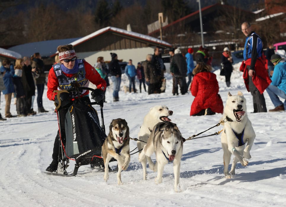 WSA Snow 2017 Inzell Samstag 2 74