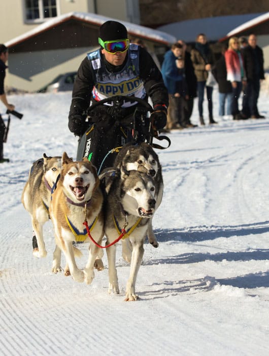 WSA Snow 2017 Inzell Samstag 2 79