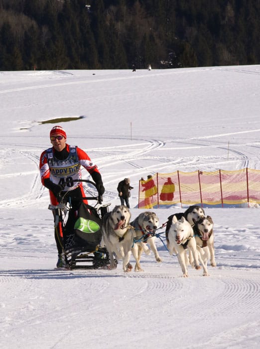 WSA Snow 2017 Inzell Samstag 2 8