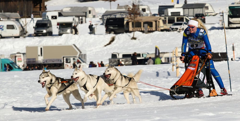 WSA Snow 2017 Inzell Samstag 2 83