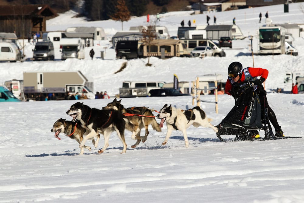 WSA Snow 2017 Inzell Samstag 2 85