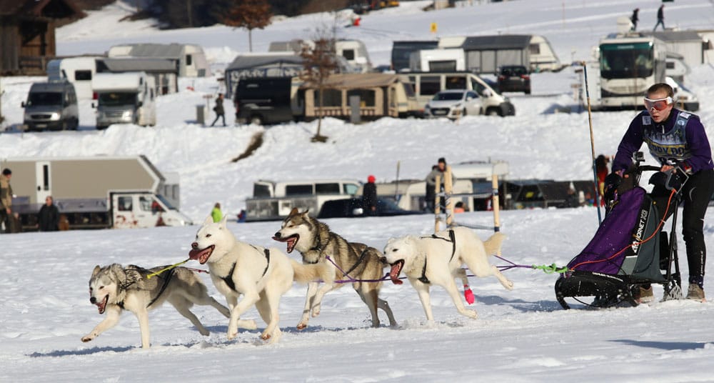 WSA Snow 2017 Inzell Samstag 2 97