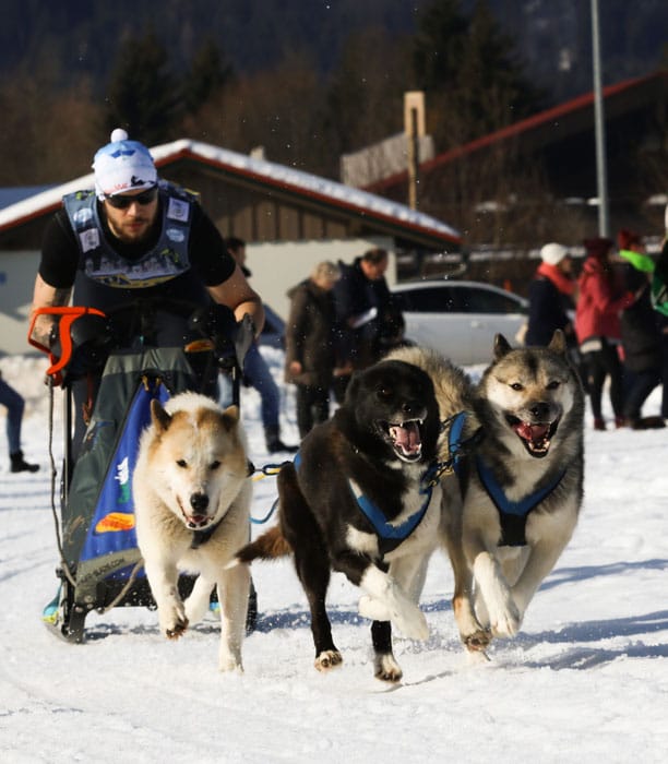 WSA Snow 2017 Inzell Samstag 2 98