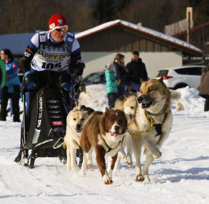 WSA Snow 2017 Inzell Samstag 2 99