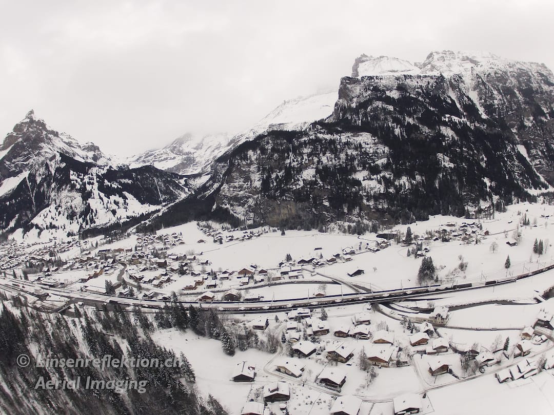 kandersteg sleddog098