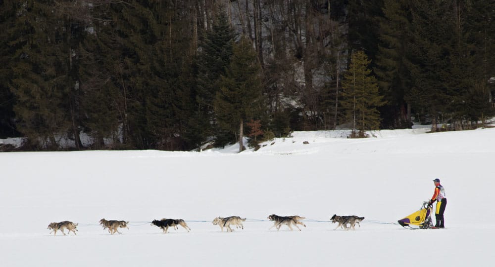 Inzell 2017-38