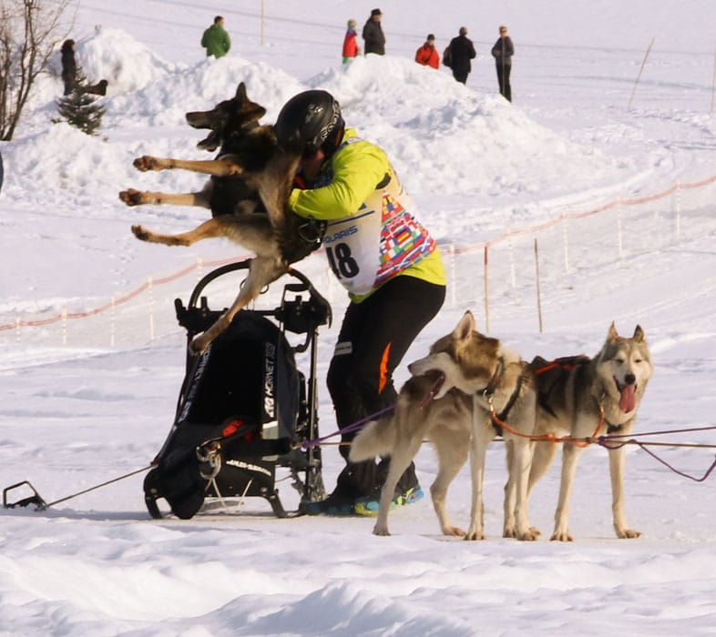WSA Snow 2017 Inzell Samstag 2 27