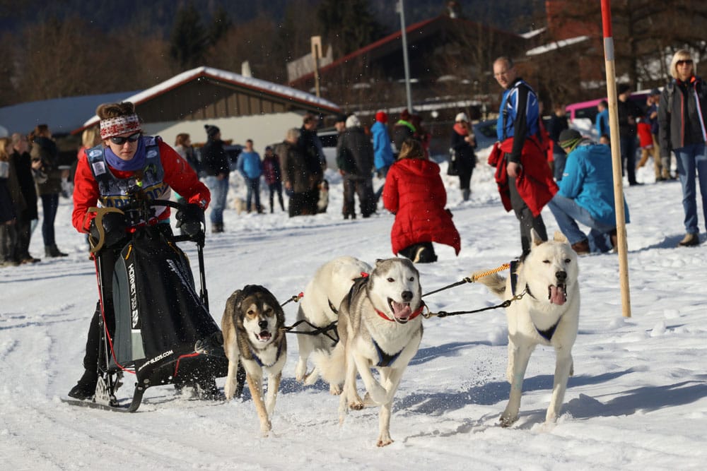 WSA Snow 2017 Inzell Samstag 2 75