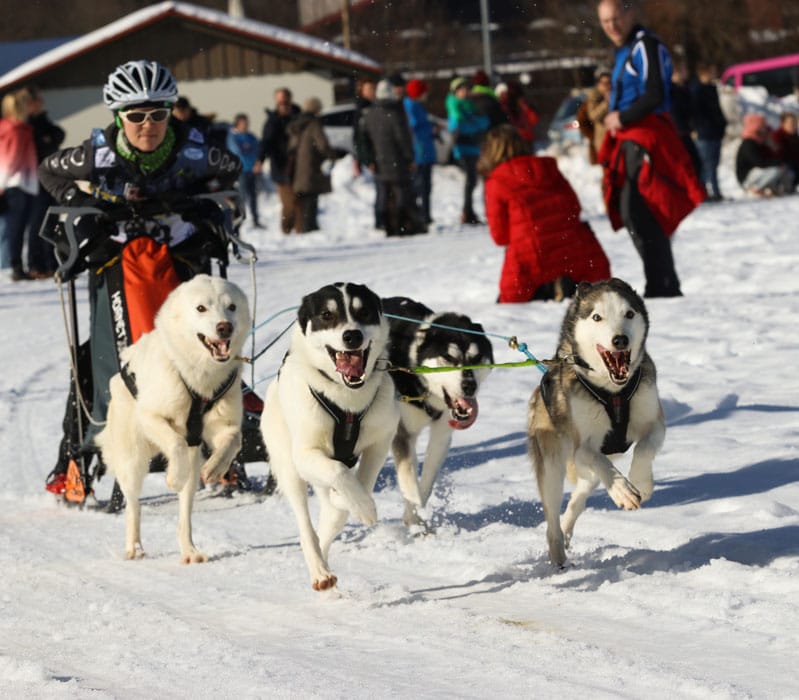 WSA Snow 2017 Inzell Samstag 2 77