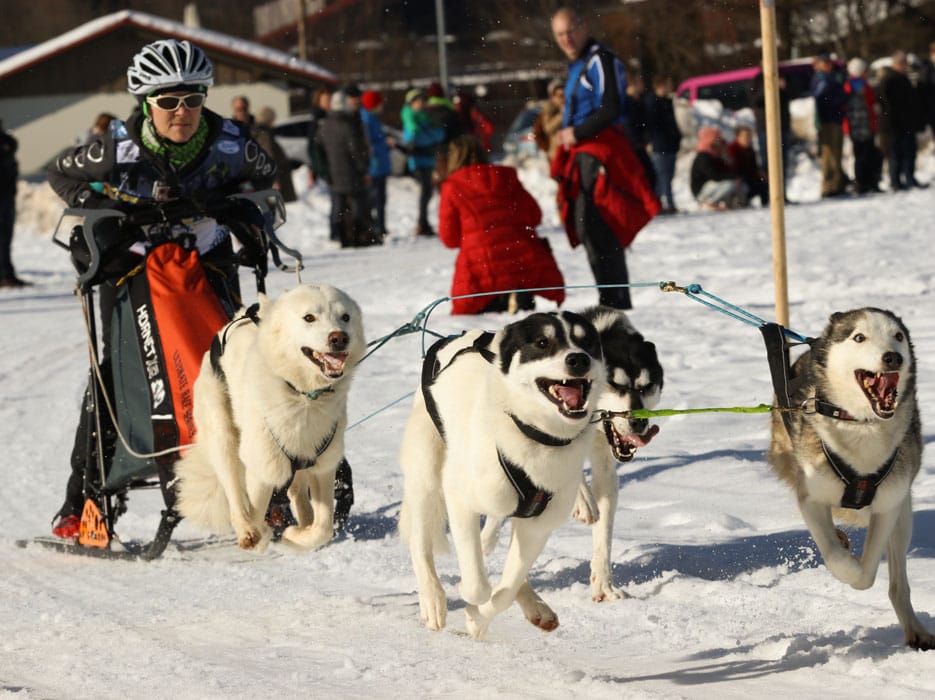 WSA Snow 2017 Inzell Samstag 2 78