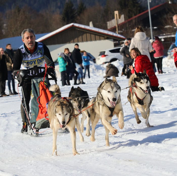 WSA Snow 2017 Inzell Samstag 2 86